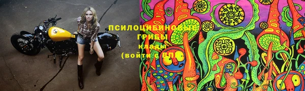 герыч Дмитриев