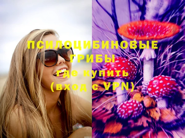 ешки Дмитров