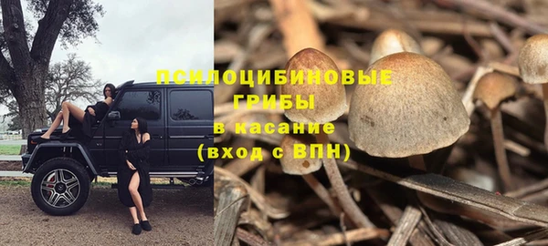 ешки Дмитровск