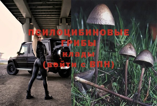 герыч Дмитриев